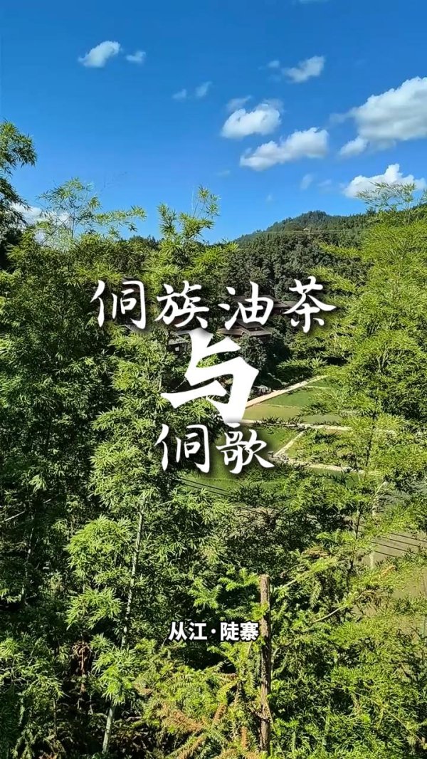 海顺优配 【视频】侗族油茶与侗歌