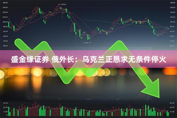盛金缘证券 俄外长：乌克兰正恳求无条件停火