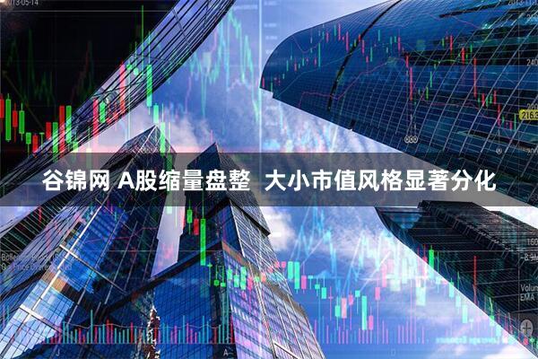 谷锦网 A股缩量盘整  大小市值风格显著分化